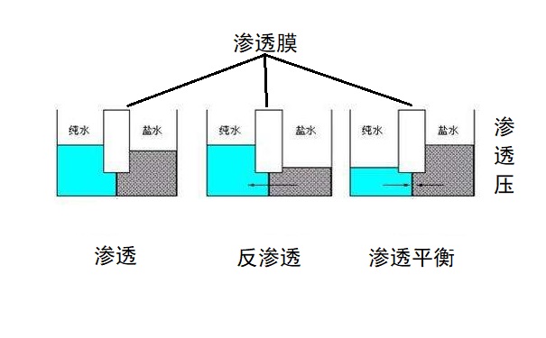 反渗透系统