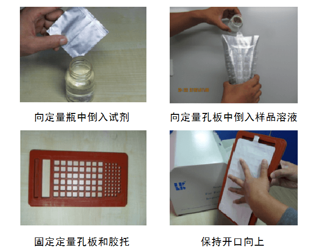 立科大肠菌群检测仪使用步骤