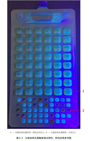 大肠埃希氏菌酶底物法阴性、阳性结果参考图