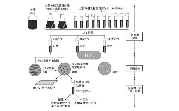 滤膜法测大肠菌群